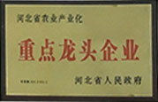 重點(diǎn)龍頭企業(yè)